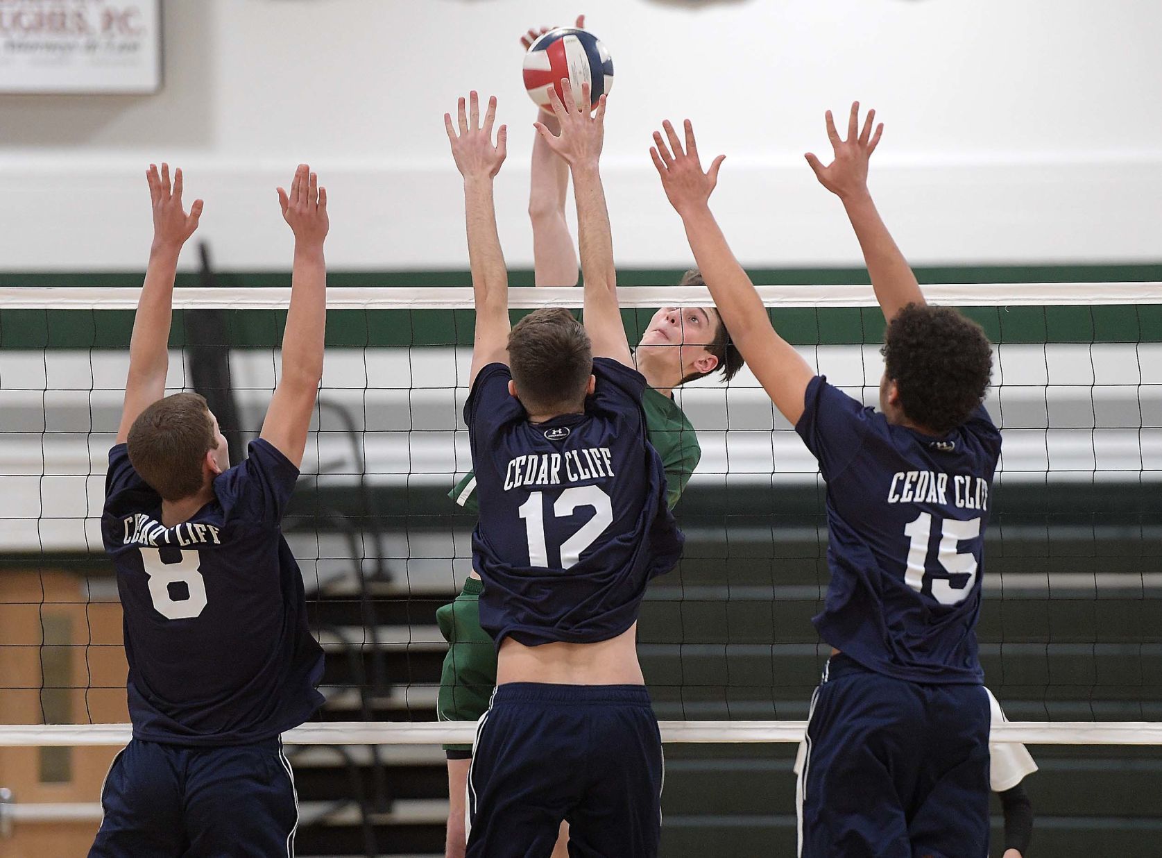 Carlisle Volleyball